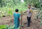 Kebun Warga Tawangrejo Ditata dengan Bambu, Lahan Pekarangan Dimanfaatkan untuk Tanaman Pangan